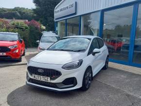 FORD FIESTA 2023 (73) at Flora Motors Helston